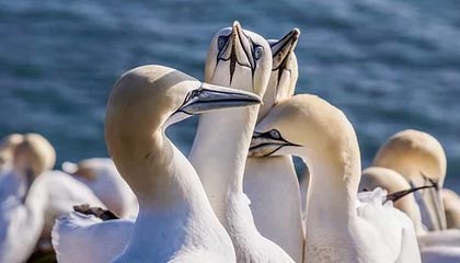 库尔勒最新公积金卡提取方法分析(最方便真实的库尔勒公积金卡提取后还可以继续使用吗方法)