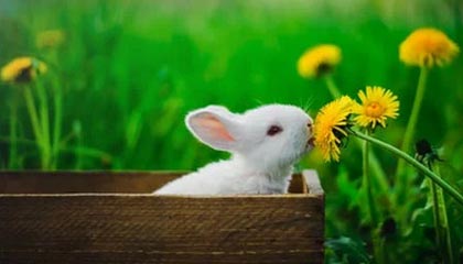 库尔勒最新公积金卡提取现金方法app方法分析(最方便真实的库尔勒公积金卡怎样从手机里取出来?方法)